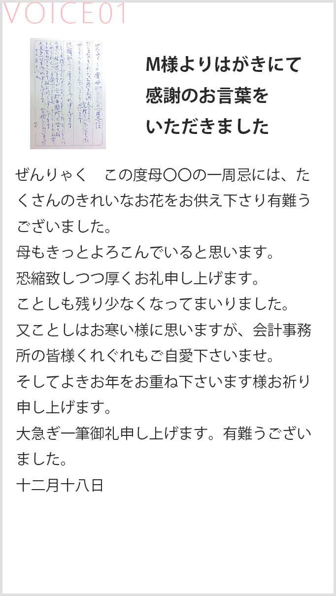 voice1-sp