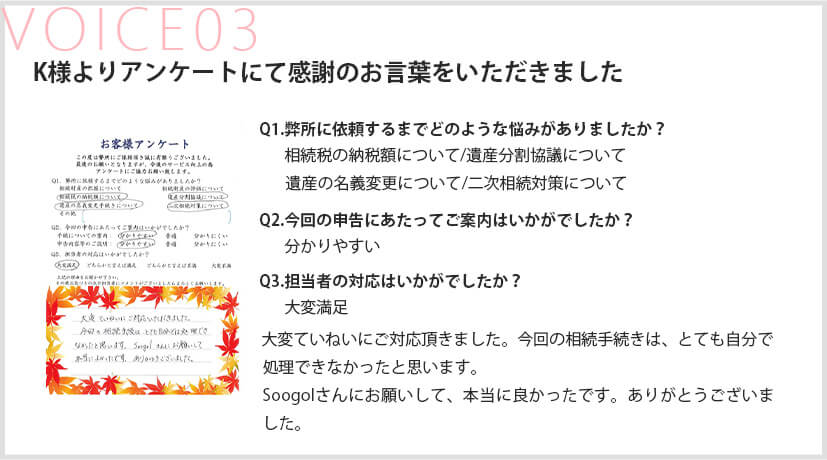 voice3