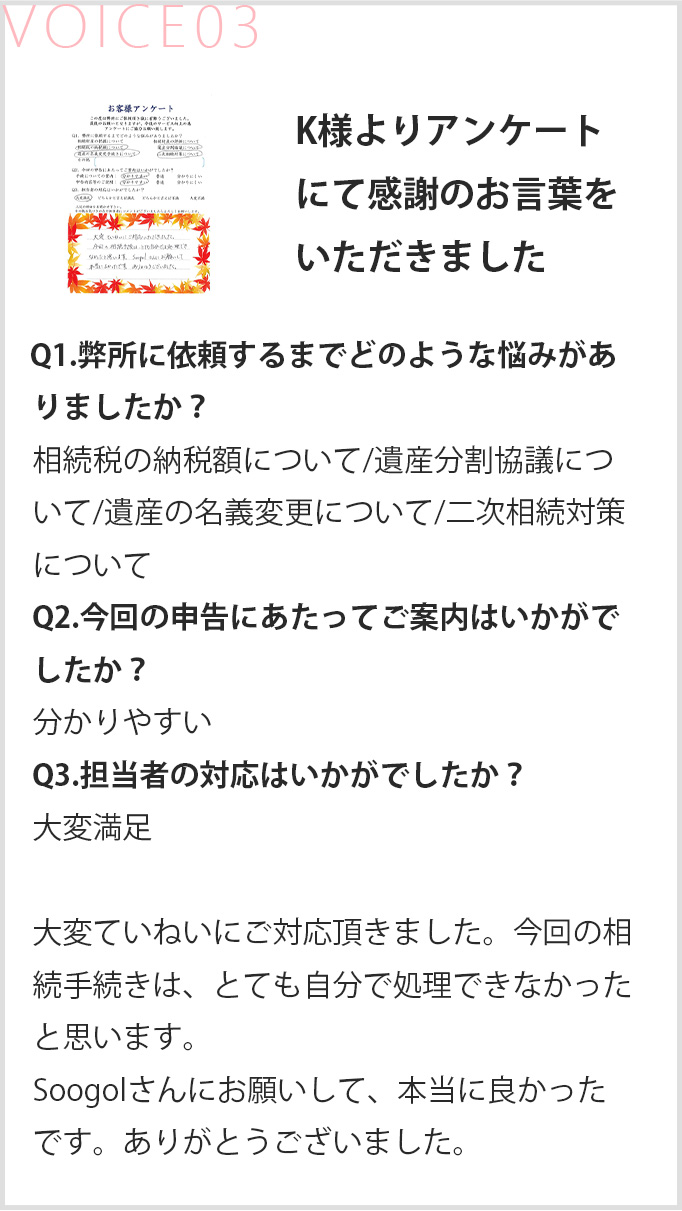 voice3-sp